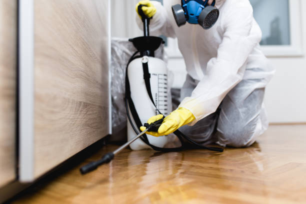 Pest Prevention Services in Westmere, NY