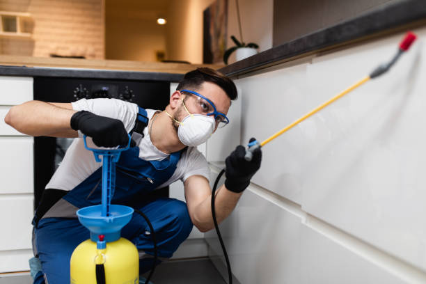 Flea Control Services in Westmere, NY