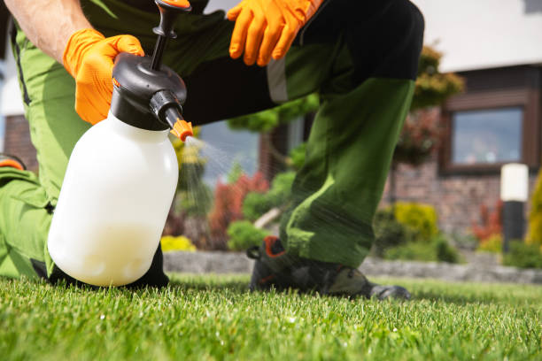 Best Residential Pest Control  in Westmere, NY