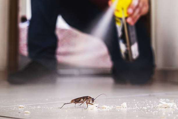Reliable Westmere, NY Pest Control Solutions